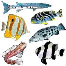 Behaviour &<br> Training