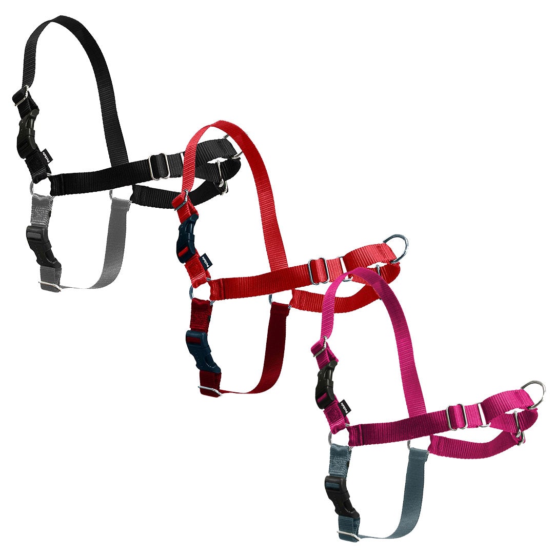 Collars Harnesses & <br>Leads