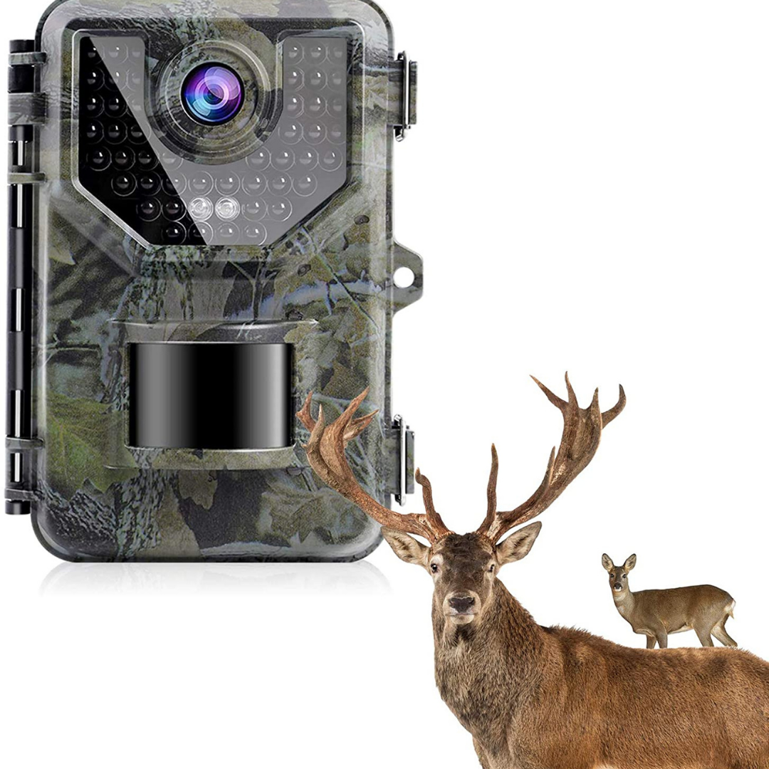 Trail <br> Cameras