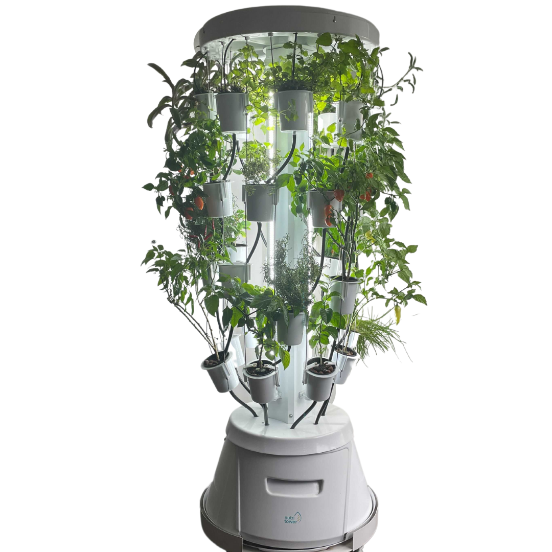 Hydroponic Systems<br> & Accessories