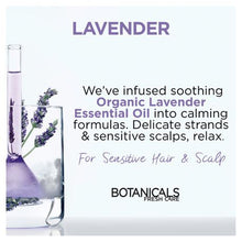 Load image into Gallery viewer, LOreal Paris Botanicals Lavendar Pre Shampoo Oil 150ml
