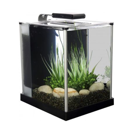 Fluval - 10 Litre Spec 3 Glass Aquarium - Black Buy Online in Zimbabwe thedailysale.shop