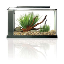Load image into Gallery viewer, Fluval - Spec 4 - Glass Aquarium - Black - 19 Litre
