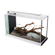 Load image into Gallery viewer, Fluval - Spec 4 - Glass Aquarium - 19 Litres
