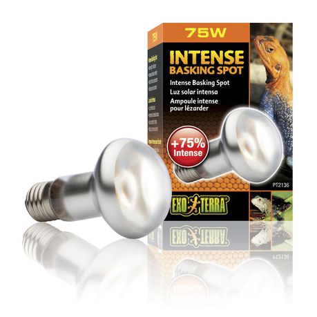 Exo-Terra -  Sun Glo Tight Beam Basking Spot Lamp - 75W Buy Online in Zimbabwe thedailysale.shop