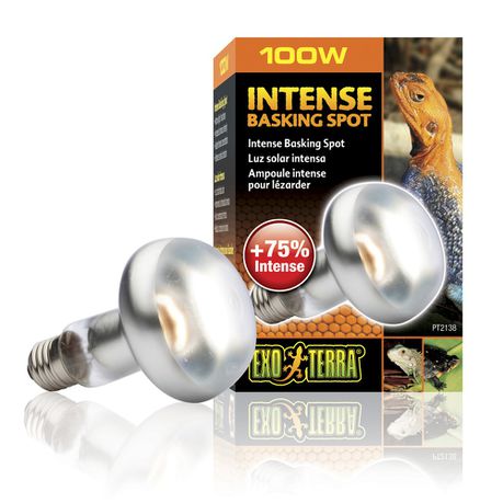Exo-Terra -  Sun Glo Tight Beam Basking Spot Lamp - 100W Buy Online in Zimbabwe thedailysale.shop