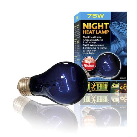 Exo-Terra -  Night Glo Moonlight Lamp - 75W Buy Online in Zimbabwe thedailysale.shop