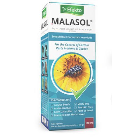 Efekto - Malasol Insecticide - 100ml Buy Online in Zimbabwe thedailysale.shop