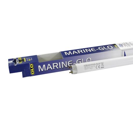 Glo - Marine T8 106.7cm Fluorescent Bulb - 40W Buy Online in Zimbabwe thedailysale.shop