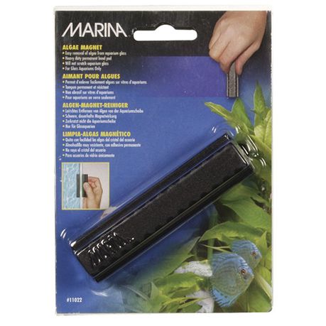 Marina - Algae Magnet - Medium Buy Online in Zimbabwe thedailysale.shop