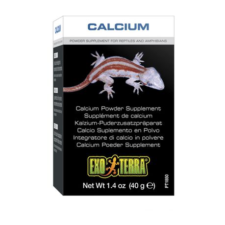 Exo Terra - Calcium Powder Supplement - 40g Buy Online in Zimbabwe thedailysale.shop