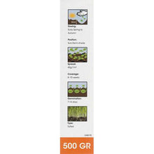 Load image into Gallery viewer, Kirchhoffs Shade Master Lawn Grass Seed Box - 500g
