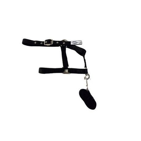 Rider Classic Raised Nylon Halter and Lead Buy Online in Zimbabwe thedailysale.shop