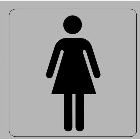 Tower Aluminium Sign - Ladies Toilet Buy Online in Zimbabwe thedailysale.shop