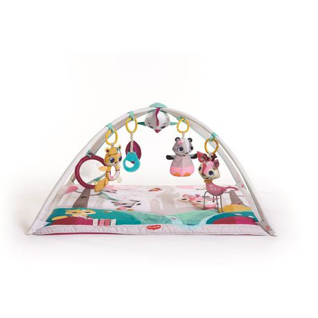 Tiny Love - Tiny Princess Tales - Gymini Deluxe Buy Online in Zimbabwe thedailysale.shop