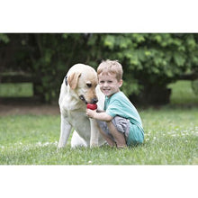 Load image into Gallery viewer, Kong - Classic Treat Toy - Medium - Red
