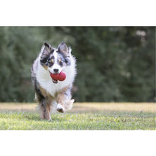 Load image into Gallery viewer, Kong - Classic Treat Toy - Medium - Red
