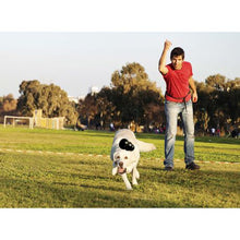 Load image into Gallery viewer, Kong - Extreme Treat Toy - Large - Black
