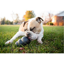 Load image into Gallery viewer, Kong - Extreme Treat Toy - Large - Black
