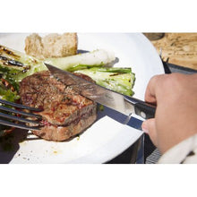 Load image into Gallery viewer, Roesle 4 Piece Steak Knife Set
