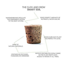 Load image into Gallery viewer, Click and Grow Thai Basil Refill for Smart Herb Garden - 3 Pack
