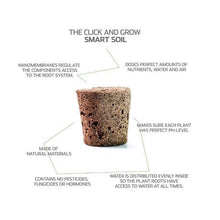 Load image into Gallery viewer, Click and Grow Painted Nettle Refill for Smart Herb Garden - 3 Pack
