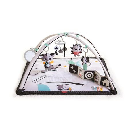 Tiny Love - Magical Tales Black & White Gymini Buy Online in Zimbabwe thedailysale.shop