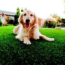 Load image into Gallery viewer, Artificial Grass Turf 20mm Thick - 10m2 (2x5)
