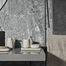 Load image into Gallery viewer, Blomus Toilet Brush in Moonbeam - SONO
