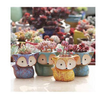 Load image into Gallery viewer, Gift of 4 Fox Pot plant
