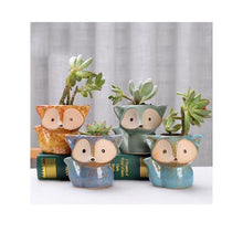 Load image into Gallery viewer, Gift of 4 Fox Pot plant
