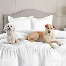 Load image into Gallery viewer, Wrinkle Resistant Luxury Hotel Duvet Cover Set Double Crispy White
