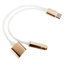 Load image into Gallery viewer, Type C  2-in-1 Adaptor - White &amp; Gold
