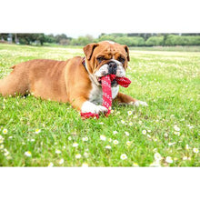 Load image into Gallery viewer, Rogz - Scrubz 440mm Oral Care Dog Toy - Red
