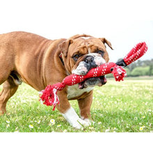 Load image into Gallery viewer, Rogz - Scrubz 440mm Oral Care Dog Toy - Red
