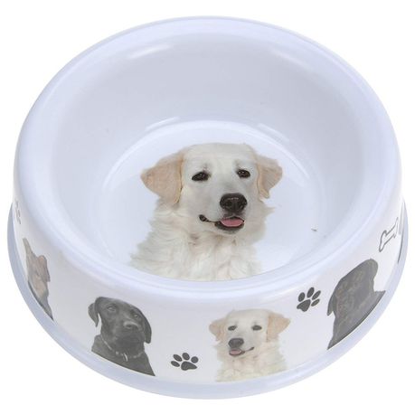 Eco Dog Bowl melanine with rubber feet Buy Online in Zimbabwe thedailysale.shop