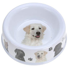 Load image into Gallery viewer, Eco Dog Bowl melanine with rubber feet
