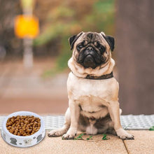 Load image into Gallery viewer, Eco Dog Bowl melanine with rubber feet
