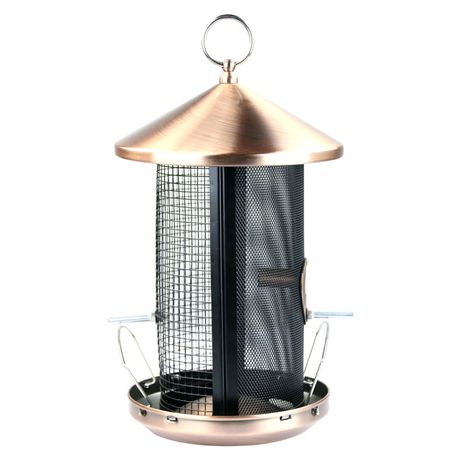 Waterhouse Copper Bird Feeder Buy Online in Zimbabwe thedailysale.shop