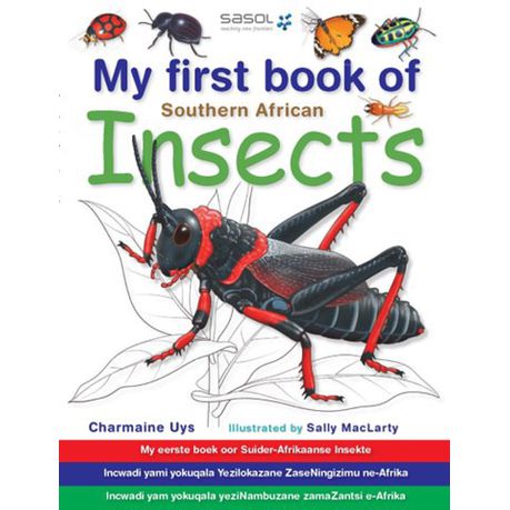 My first book of Southern African insects Buy Online in Zimbabwe thedailysale.shop