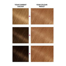 Load image into Gallery viewer, Garnier Nutrisse 7.3 Dark Golden Blonde
