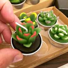 Load image into Gallery viewer, Candle Succulent Plants Cactus set of 12 Cool
