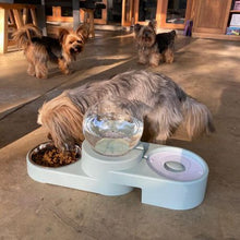 Load image into Gallery viewer, Food and Automatic Water Dispenser Pet Bowl - Duck Egg
