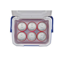 Load image into Gallery viewer, Coleman Performance 6 Personal Cooler 4L
