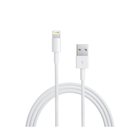 iPhone USB Lightning Cable- Single