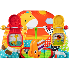 Load image into Gallery viewer, Baby Links Playtime Bouncer
