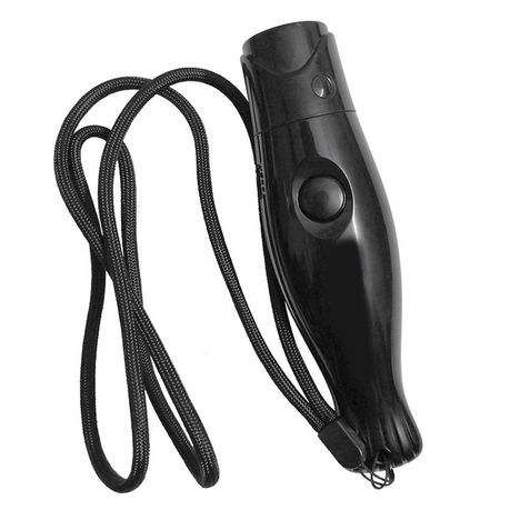 Electronic Referee Whistle