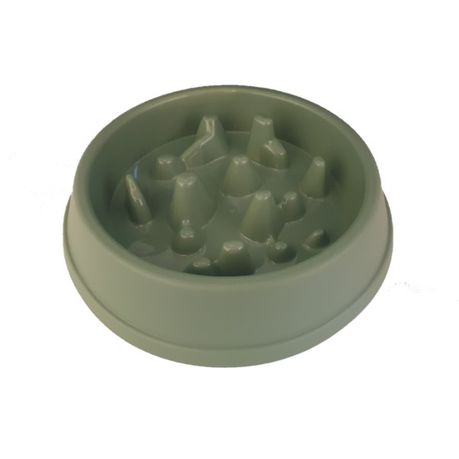 Pet Slow Feeder Bowl - artichoke green Buy Online in Zimbabwe thedailysale.shop