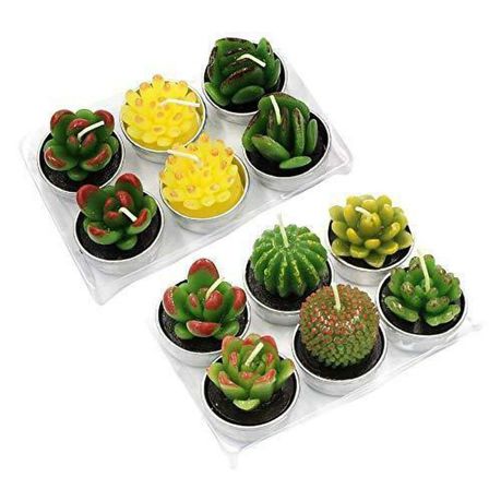 Candle Succulent Plants Cactus set of 12 Buy Online in Zimbabwe thedailysale.shop