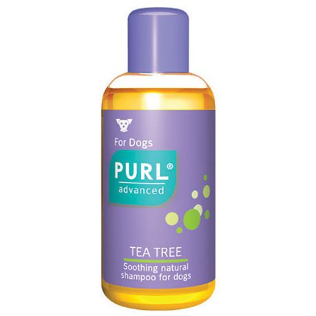 Purl Tea Tree Shampoo 250ml Buy Online in Zimbabwe thedailysale.shop